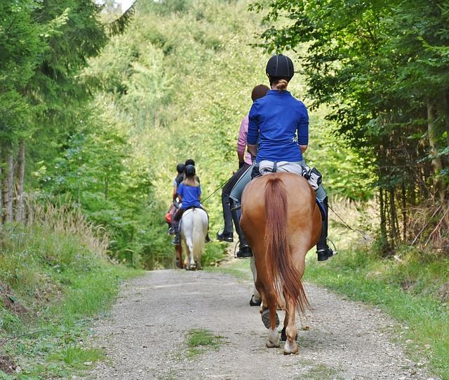 equitation beaujolais